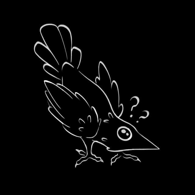 Picture of Raven being curious.