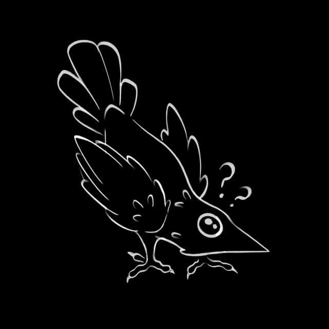 Picture of Raven being curious.